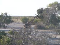 Etosha Nationalpark