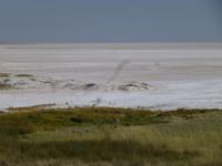 Etosha Pfanne
