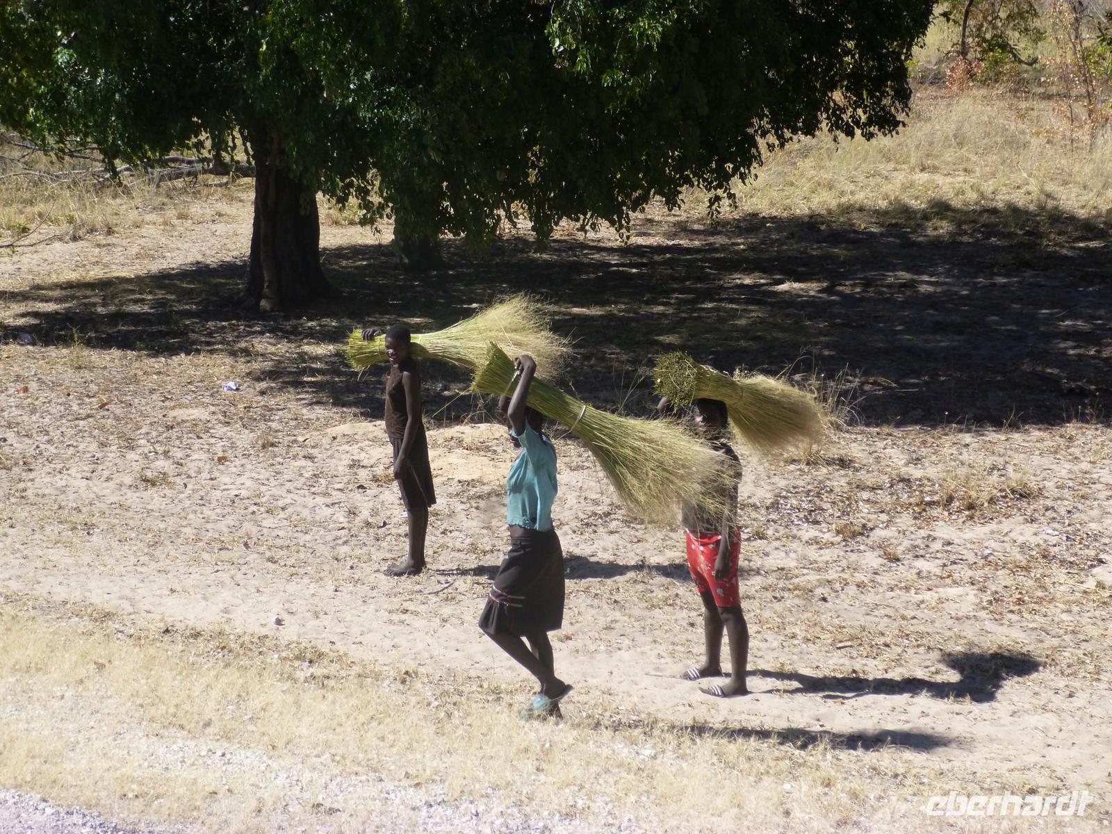 Transport der Strohballen