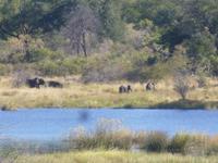 Mudumu Nationalpark