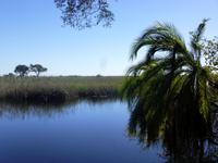 Bootsfahrt zum Mudumu Nationalpark