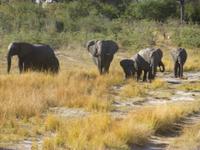 Mudumu Nationalpark