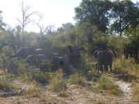 Safari im Mudumu Nationalpark