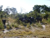 Safari im Mudumu Nationalpark