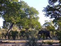 Safari im Mudumu Nationalpark