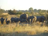Safari im Mudumu Nationalpark