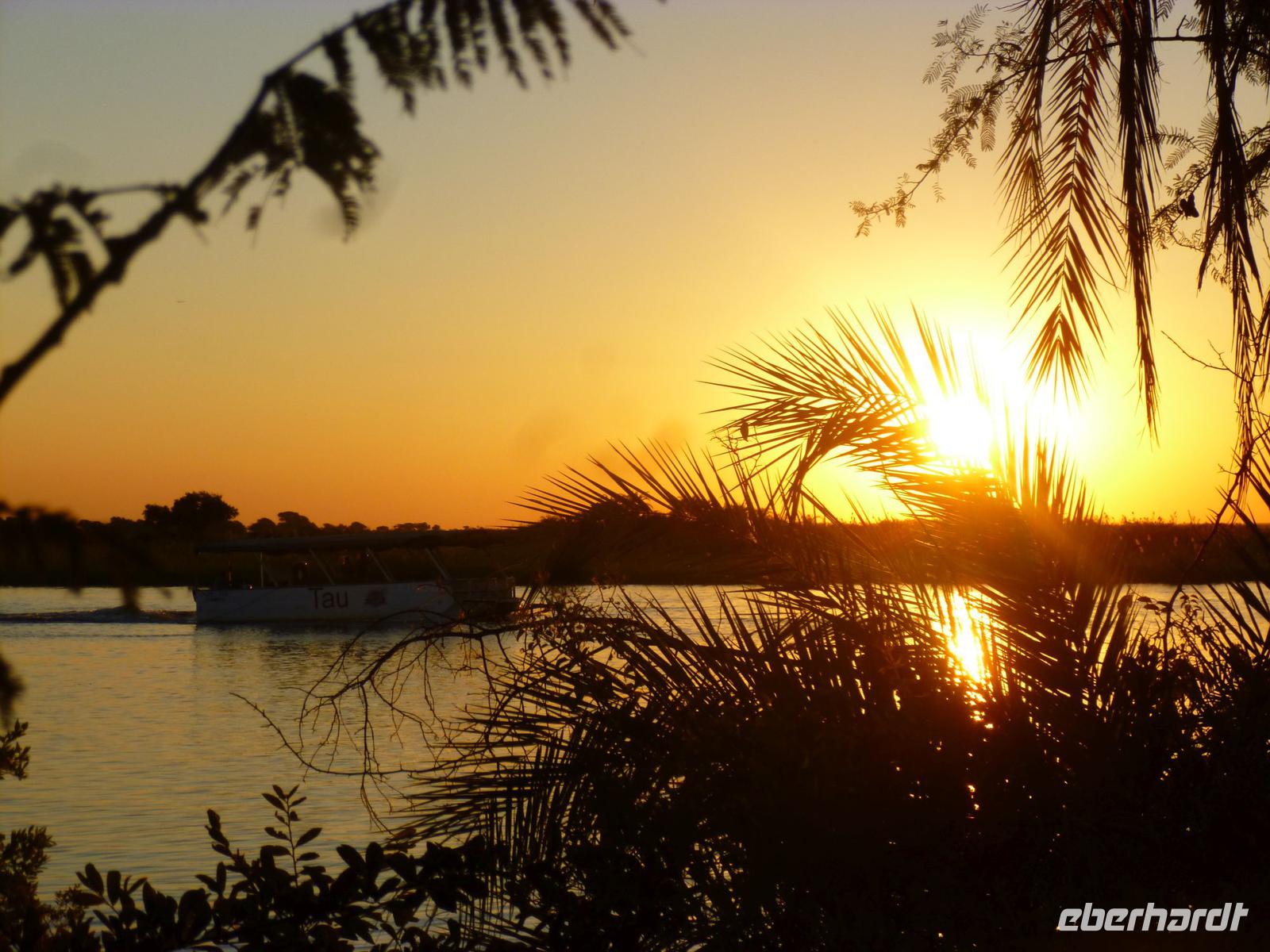 Sonnenuntergang am Chobe