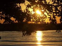 Sonnenuntergang am Chobe