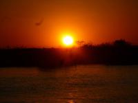 Sonnenuntergang am Chobe