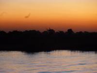 Sonnenuntergang am Chobe