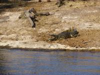 Bootsfahrt auf dem Chobe