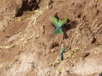 Bootsfahrt auf dem Chobe