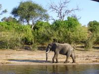 Bootsfahrt auf dem Chobe