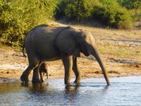 Bootsfahrt auf dem Chobe