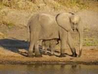 Bootsfahrt auf dem Chobe
