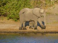 Bootsfahrt auf dem Chobe