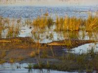 Bootsfahrt auf dem Chobe