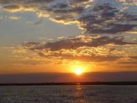 Bootsfahrt auf dem Chobe