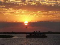 Bootsfahrt auf dem Chobe