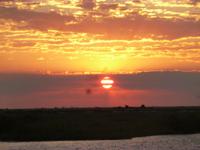 Bootsfahrt auf dem Chobe
