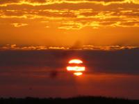 Bootsfahrt auf dem Chobe