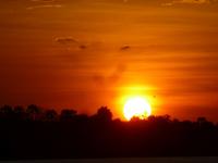 Sonnenuntergang auf dem Zambesi