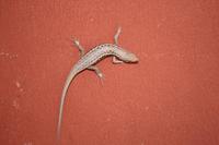 Besuch in meinem Zimmer