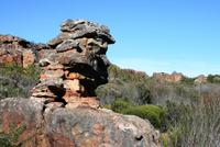 Cederberge - Soldatenkopf