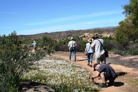 Wanderung auf dem Sevilla Rock Art Trail