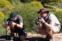 Sevilla Rock Art Trail