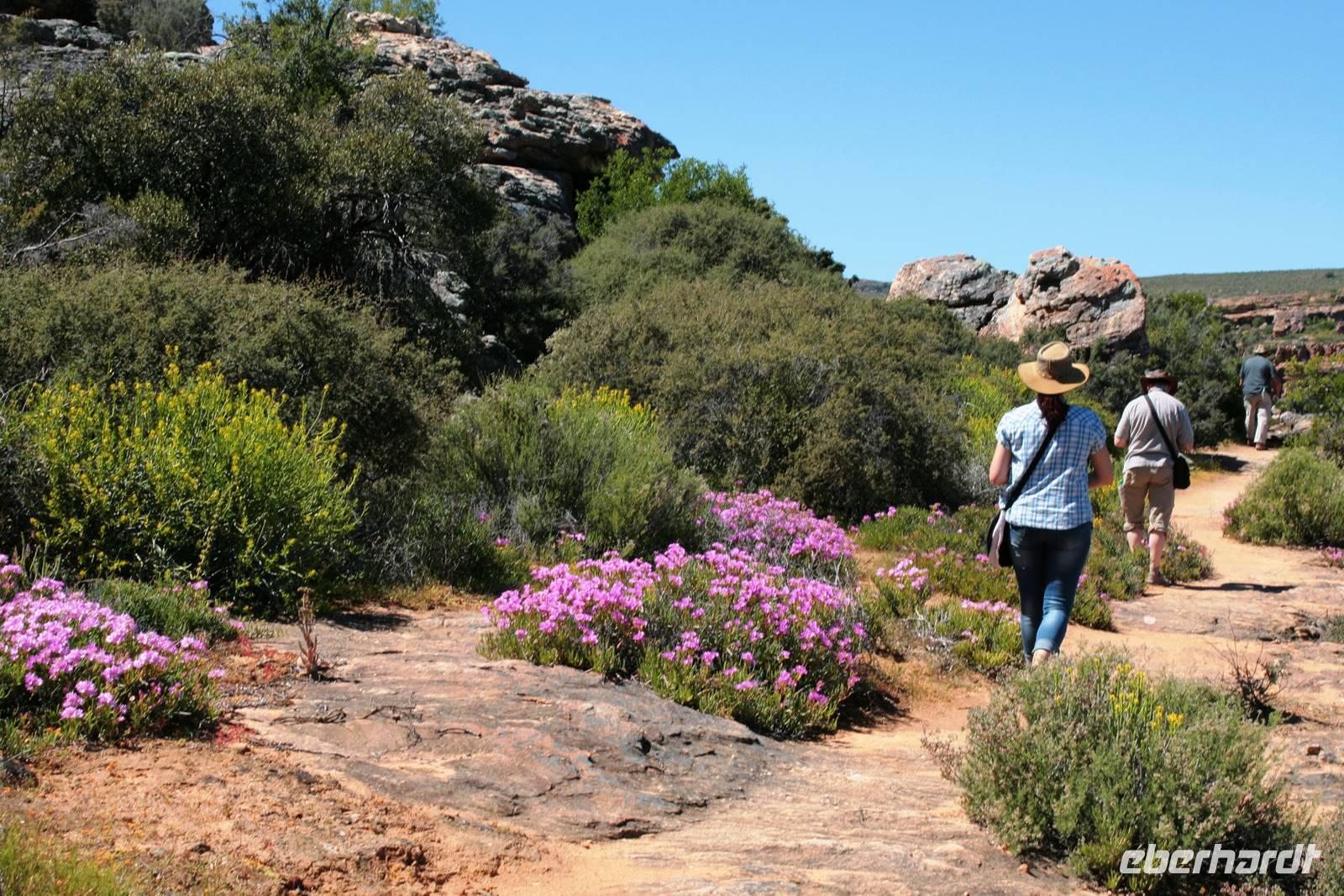 Sevilla Rock Art Trail