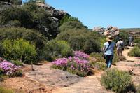 Sevilla Rock Art Trail