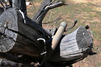 und wieder eine olle Büchse für Jens