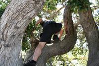 Geo Cacher bei der Arbeit