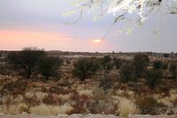 Gerettet - Abendstimmung im Twee Rivieren Camp