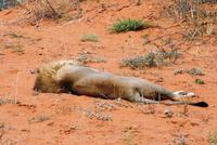 Neuer Tag - Neues Glück