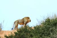 Sehr geschafft von der vielen Nachtarbeit