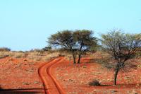 Heia Safari in der Kalahari