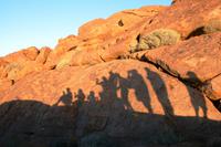 Eberhardt Erdmännchen 