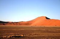 In der Namib