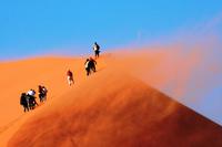 Düne 45 - Sandsturm