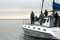 Catamaran Fahrt in Walvis Bay