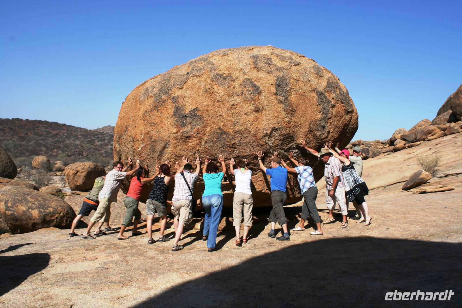 Bull`s Party - Gemeinsam sind wir stark!