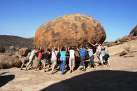 Bull`s Party - Gemeinsam sind wir stark!