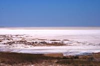 Etosha Pfanne