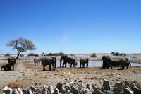 Mittags im Camp - Elefantenbad