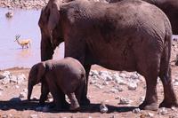 Immer schön bei Mama bleiben