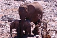 Der Kleine bleibt bei mir!