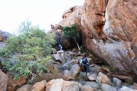 Da will jemand hoch hinaus