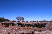 Mittags im Camp - Elefantenbad